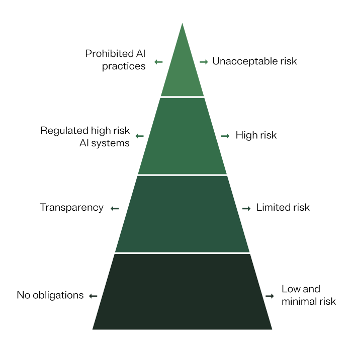 Pyramid diagram showing the types of risk, their level of severity, and their scope.